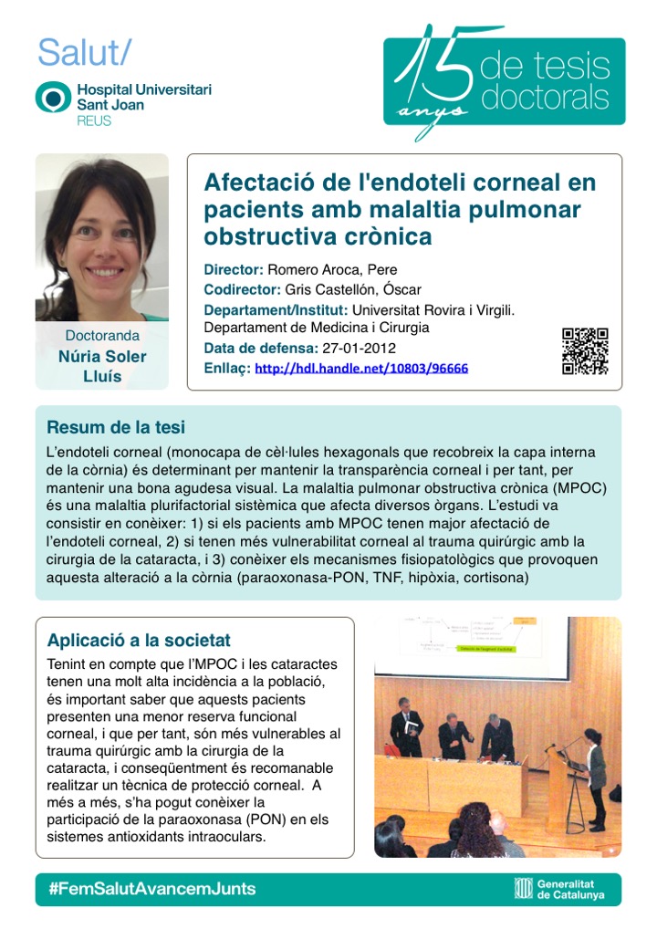 Tesi Núria Soler Lluís