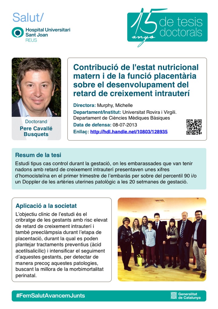 Tesi Pere Cavallé Busquets