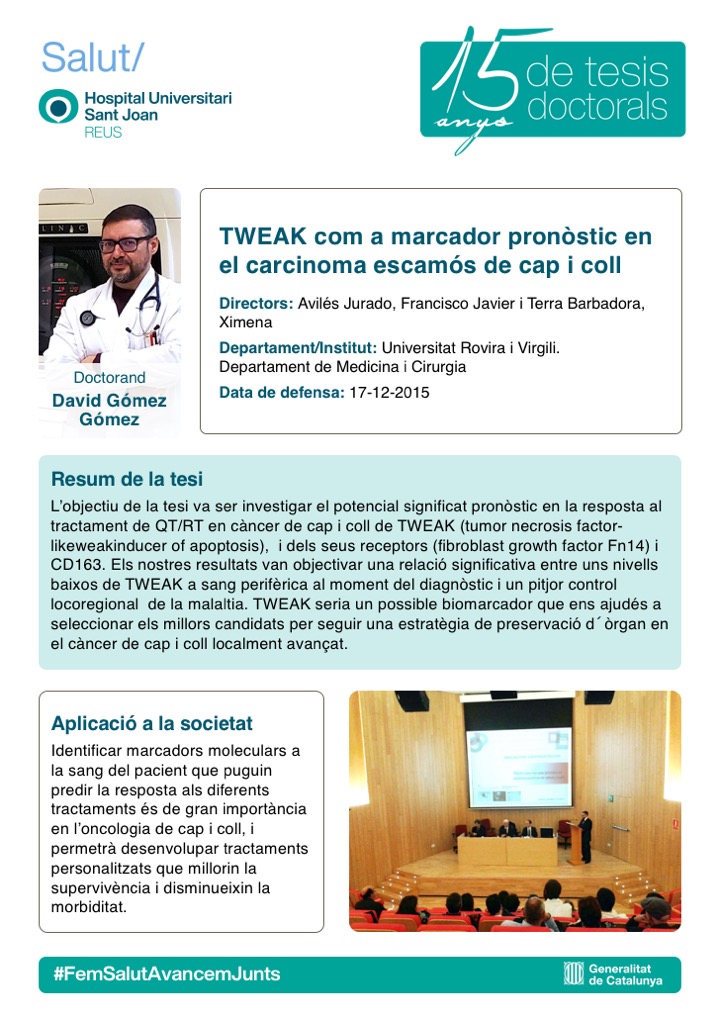 Tesi David Gómez Gómez