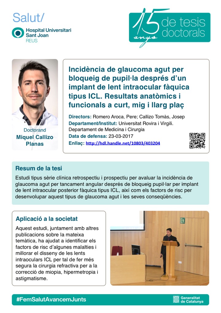 Tesi Miquel Callizo Planas