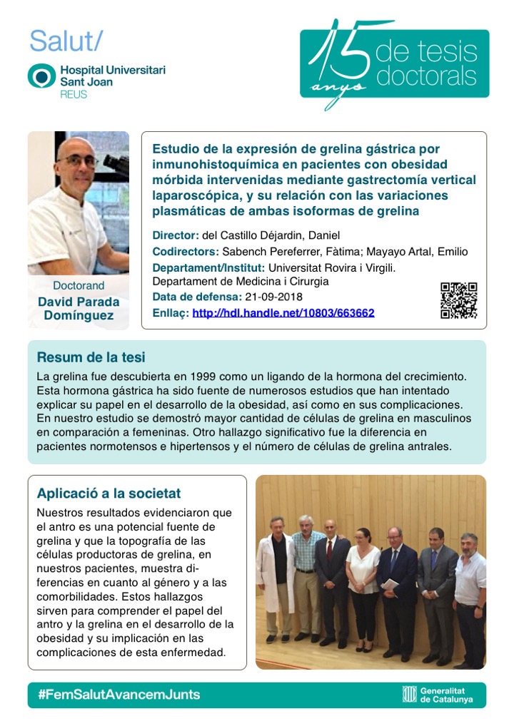 Tesi David Parada Domínguez